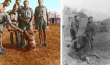 АУГАА ЭХ ОРНЫ ДАЙНЫ ҮЕИЙН СОНИРХОЛТОЙ БАРИМТУУД